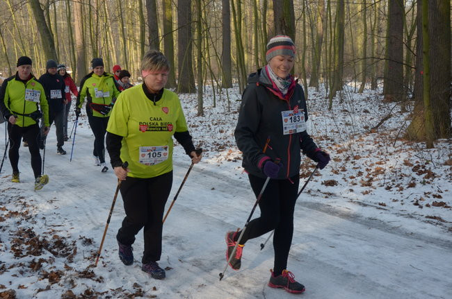 Z uśmiechem przez las (zdjęcia)