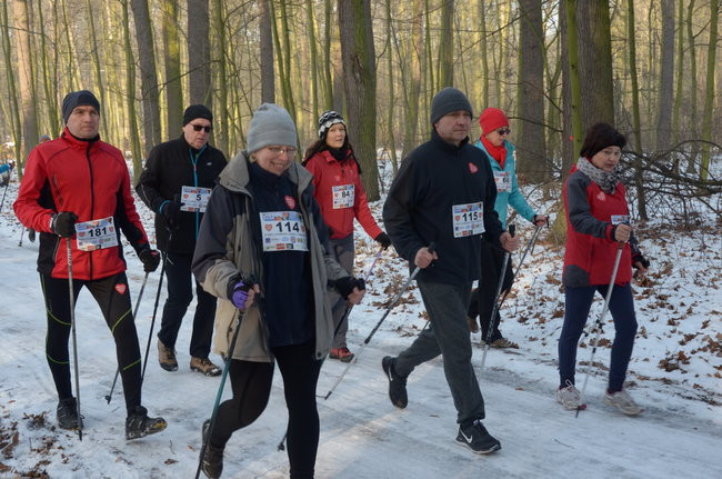 Z uśmiechem przez las (zdjęcia)