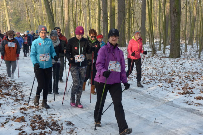 Z uśmiechem przez las (zdjęcia)