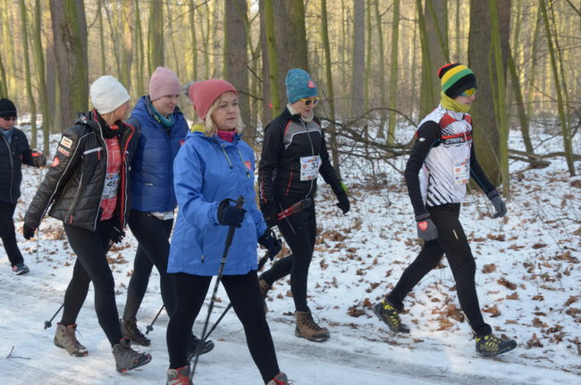 Z uśmiechem przez las (zdjęcia)