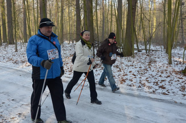 Z uśmiechem przez las (zdjęcia)