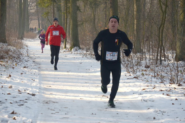 Z uśmiechem przez las (zdjęcia)