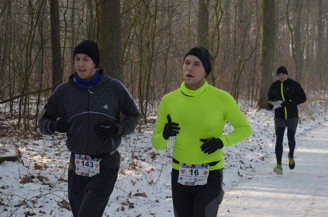 Z uśmiechem przez las (zdjęcia)