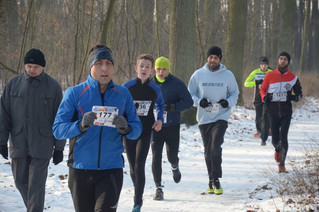 Z uśmiechem przez las (zdjęcia)