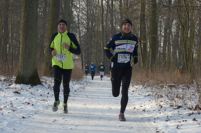 Z uśmiechem przez las (zdjęcia)