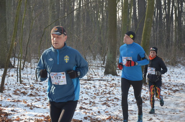 Z uśmiechem przez las (zdjęcia)