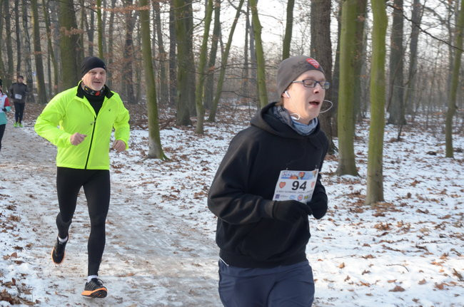 Z uśmiechem przez las (zdjęcia)