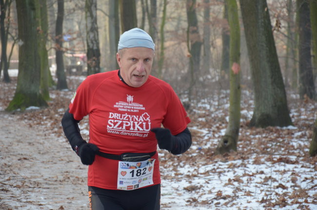 Z uśmiechem przez las (zdjęcia)