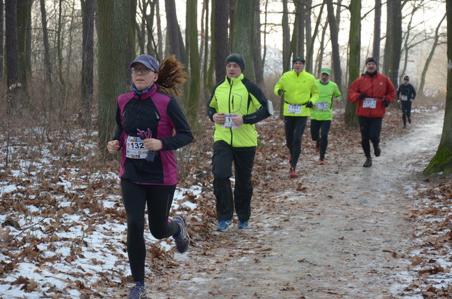 Z uśmiechem przez las (zdjęcia)