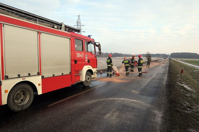 Dwa kilometry drogi zanieczyszczone przez psa (zdjęcia)
