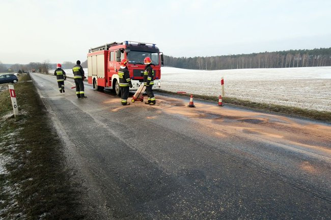 Dwa kilometry drogi zanieczyszczone przez psa (zdjęcia)