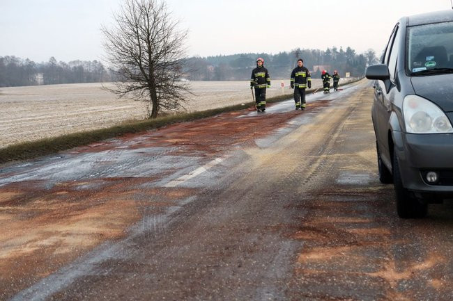 Dwa kilometry drogi zanieczyszczone przez psa (zdjęcia)