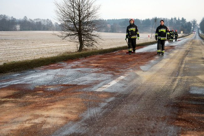 Dwa kilometry drogi zanieczyszczone przez psa (zdjęcia)