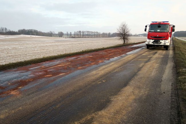Dwa kilometry drogi zanieczyszczone przez psa (zdjęcia)