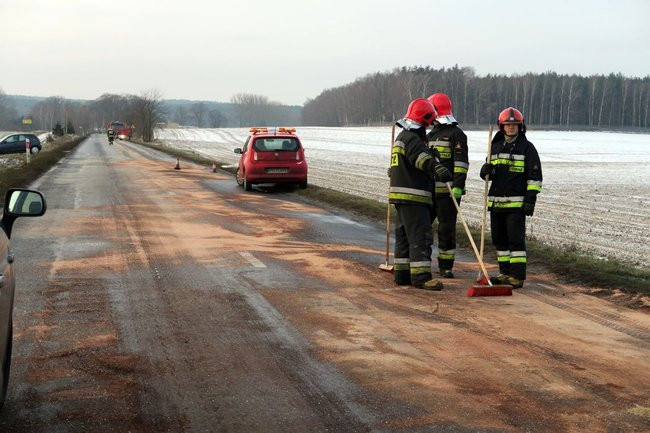 Dwa kilometry drogi zanieczyszczone przez psa (zdjęcia)