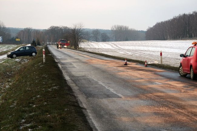 Dwa kilometry drogi zanieczyszczone przez psa (zdjęcia)