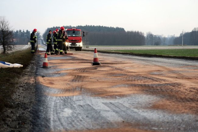 Dwa kilometry drogi zanieczyszczone przez psa (zdjęcia)