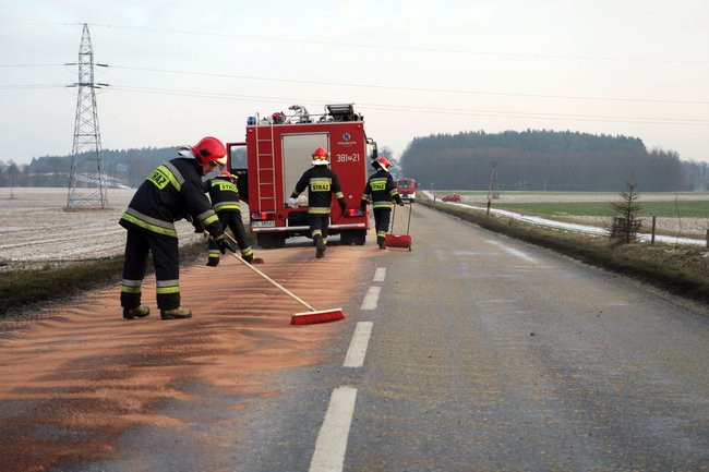 Dwa kilometry drogi zanieczyszczone przez psa (zdjęcia)