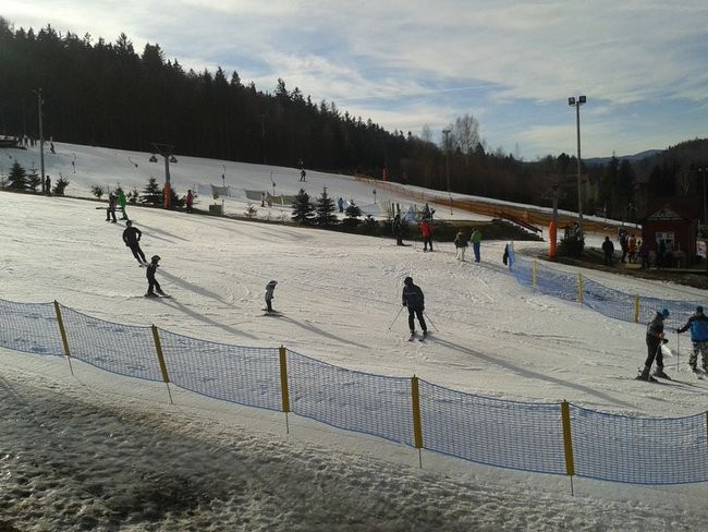 Narciarskie mistrzostwa gminy Krzemieniewo (zdjęcia)
