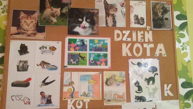 Dzień Kota w Przedszkolu w Rydzynie (zdjęcia)