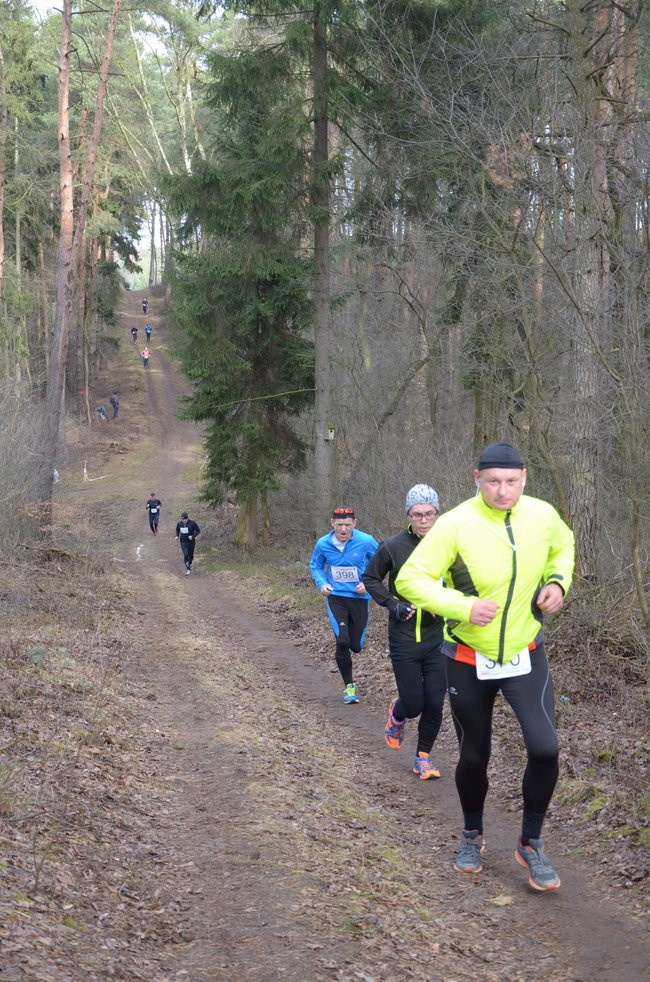 Dziesiątka po pagórkach ( zdjęcia)