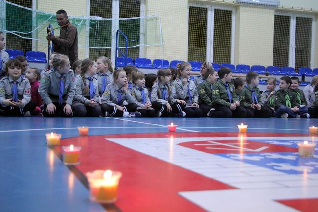 Zuchy opanowały Dąbcze (zdjęcia)