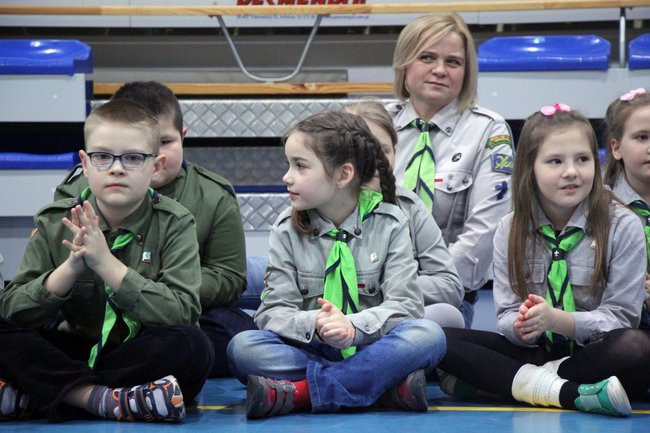Zuchy opanowały Dąbcze (zdjęcia)
