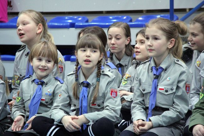 Zuchy opanowały Dąbcze (zdjęcia)
