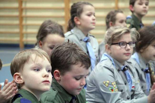 Zuchy opanowały Dąbcze (zdjęcia)