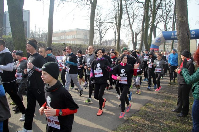 Tropem Wilczym w Lesznie i Kaczkowie (zdjęcia)