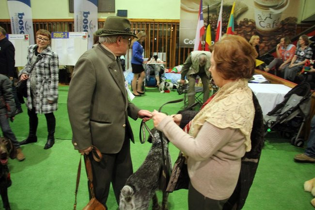 Dog niemiecki najpiękniejszym psem Leszna (zdjęcia i film)