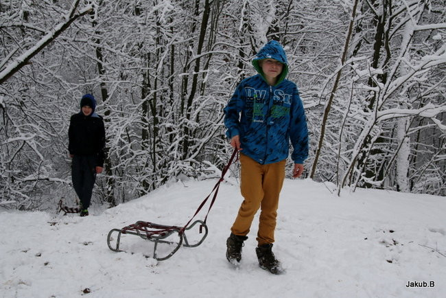 Marcowy spacer po zamkowym parku (zdjęcia)