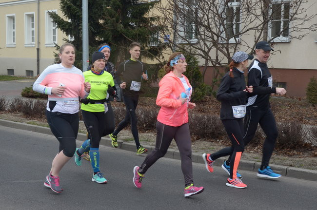 Wielki sukces organizatorów pierwszego półmaratonu (zdjęcia)