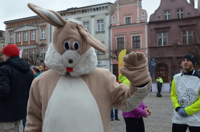 Wielki sukces organizatorów pierwszego półmaratonu (zdjęcia)