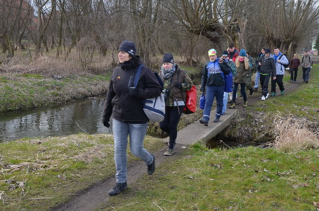 Kajakami przez krainę ptaków i bobrów (zdjęcia)
