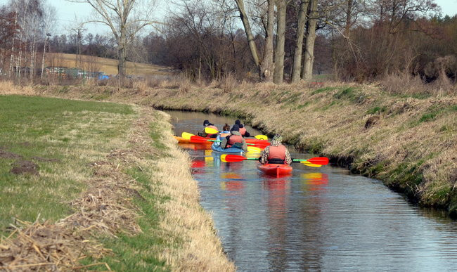 Kajakami przez krainę ptaków i bobrów (zdjęcia)