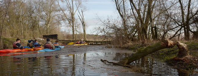 Kajakami przez krainę ptaków i bobrów (zdjęcia)