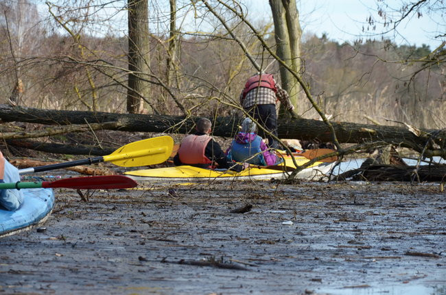 Kajakami przez krainę ptaków i bobrów (zdjęcia)