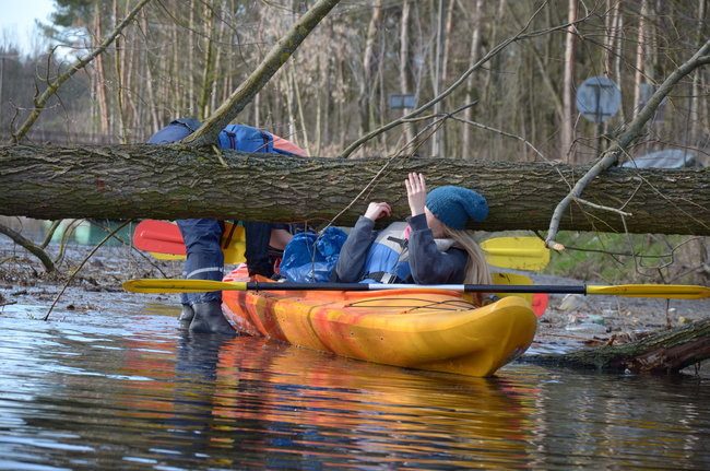 Kajakami przez krainę ptaków i bobrów (zdjęcia)