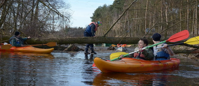 Kajakami przez krainę ptaków i bobrów (zdjęcia)