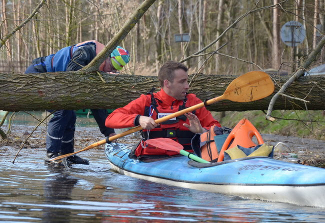 Kajakami przez krainę ptaków i bobrów (zdjęcia)