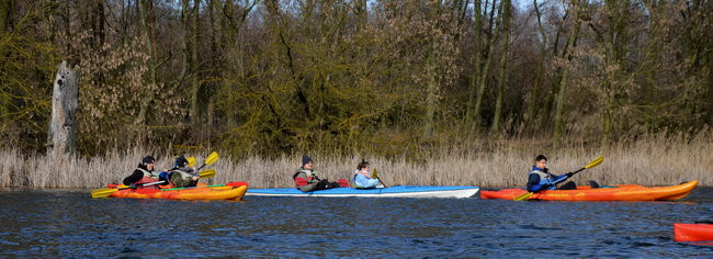 Kajakami przez krainę ptaków i bobrów (zdjęcia)