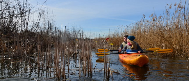 Kajakami przez krainę ptaków i bobrów (zdjęcia)