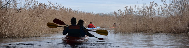 Kajakami przez krainę ptaków i bobrów (zdjęcia)
