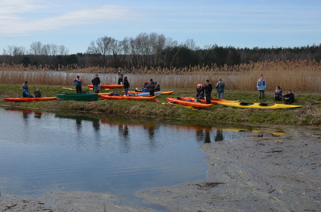 Kajakami przez krainę ptaków i bobrów (zdjęcia)
