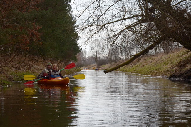 Kajakami przez krainę ptaków i bobrów (zdjęcia)