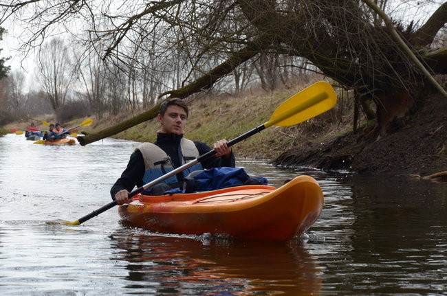 Kajakami przez krainę ptaków i bobrów (zdjęcia)