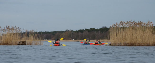 Kajakami przez krainę ptaków i bobrów (zdjęcia)