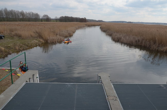 Kajakami przez krainę ptaków i bobrów (zdjęcia)