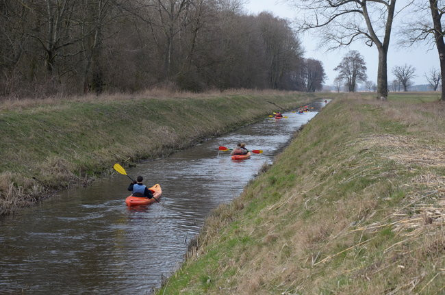 Kajakami przez krainę ptaków i bobrów (zdjęcia)